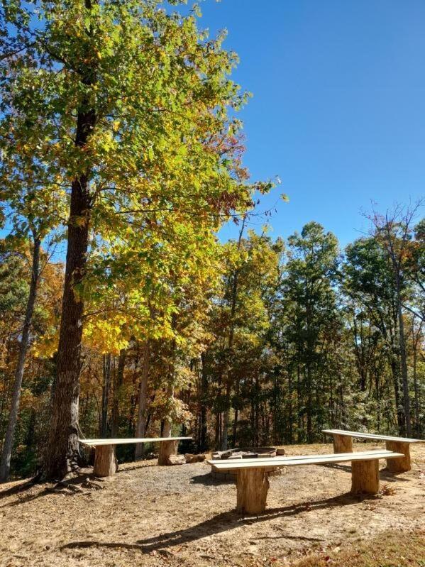 The Willow, Secluded And Cozy Country Cabin Ravenna Luaran gambar