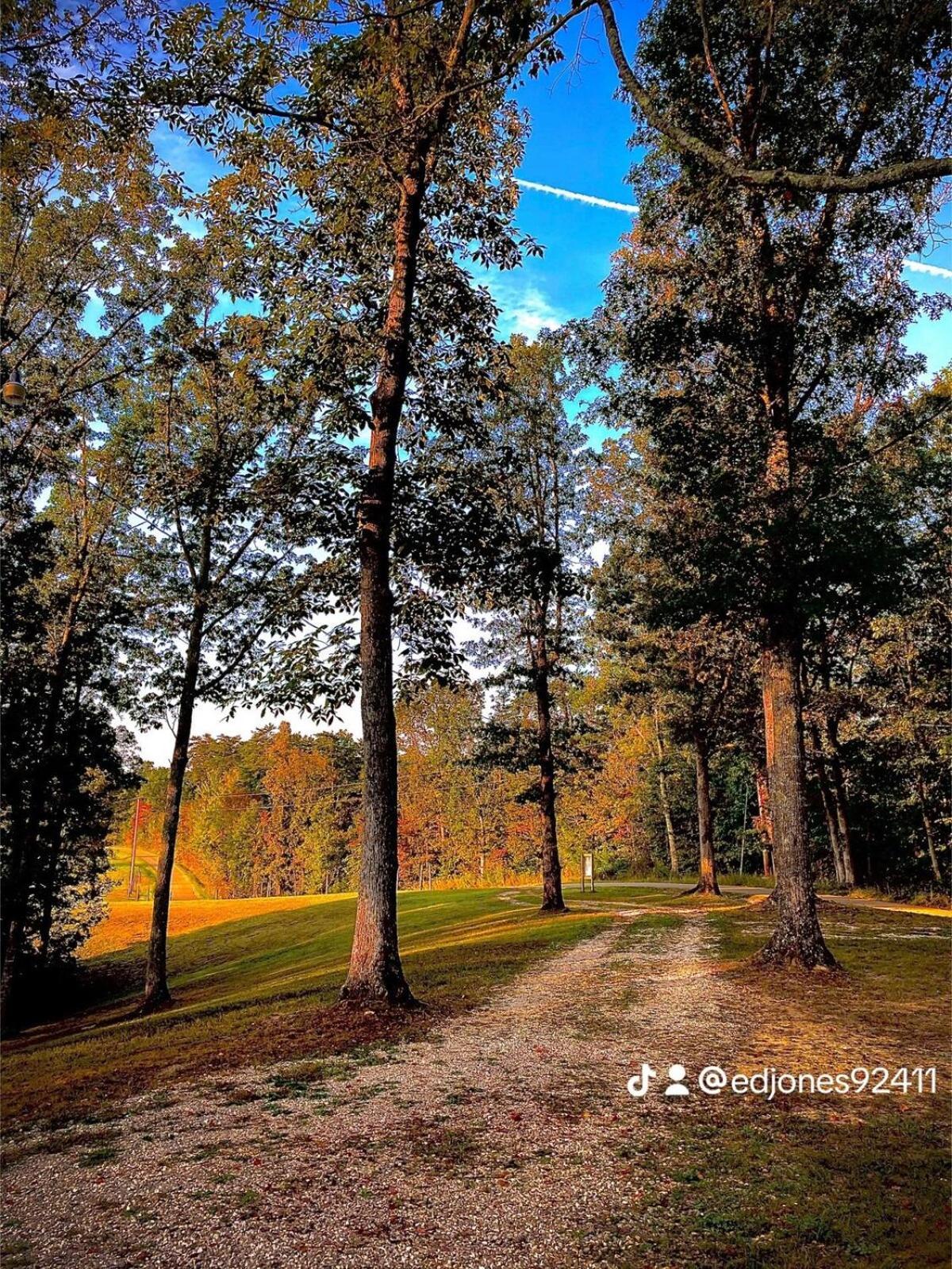 The Willow, Secluded And Cozy Country Cabin Ravenna Luaran gambar