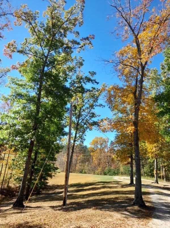 The Willow, Secluded And Cozy Country Cabin Ravenna Luaran gambar