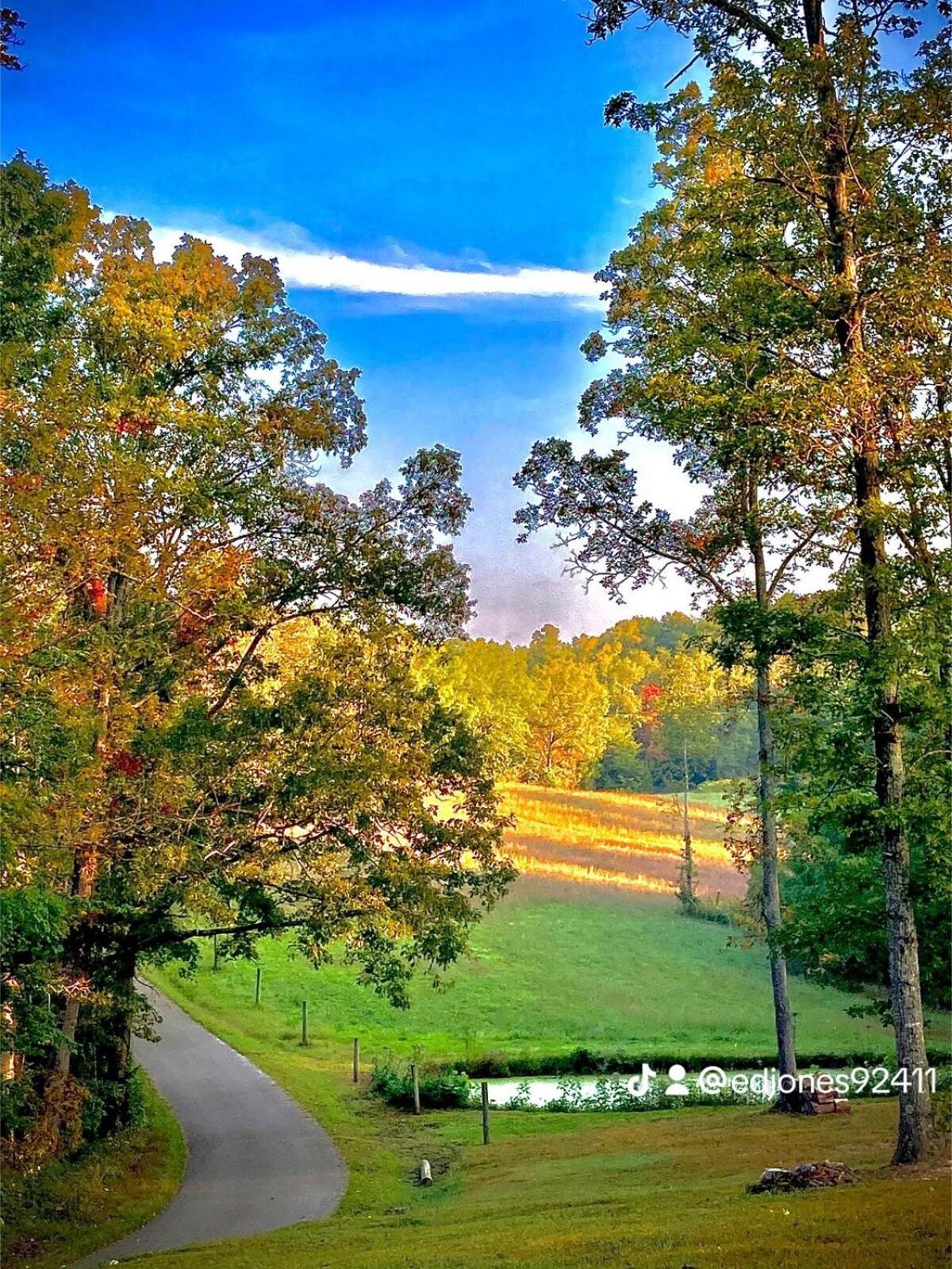 The Willow, Secluded And Cozy Country Cabin Ravenna Luaran gambar